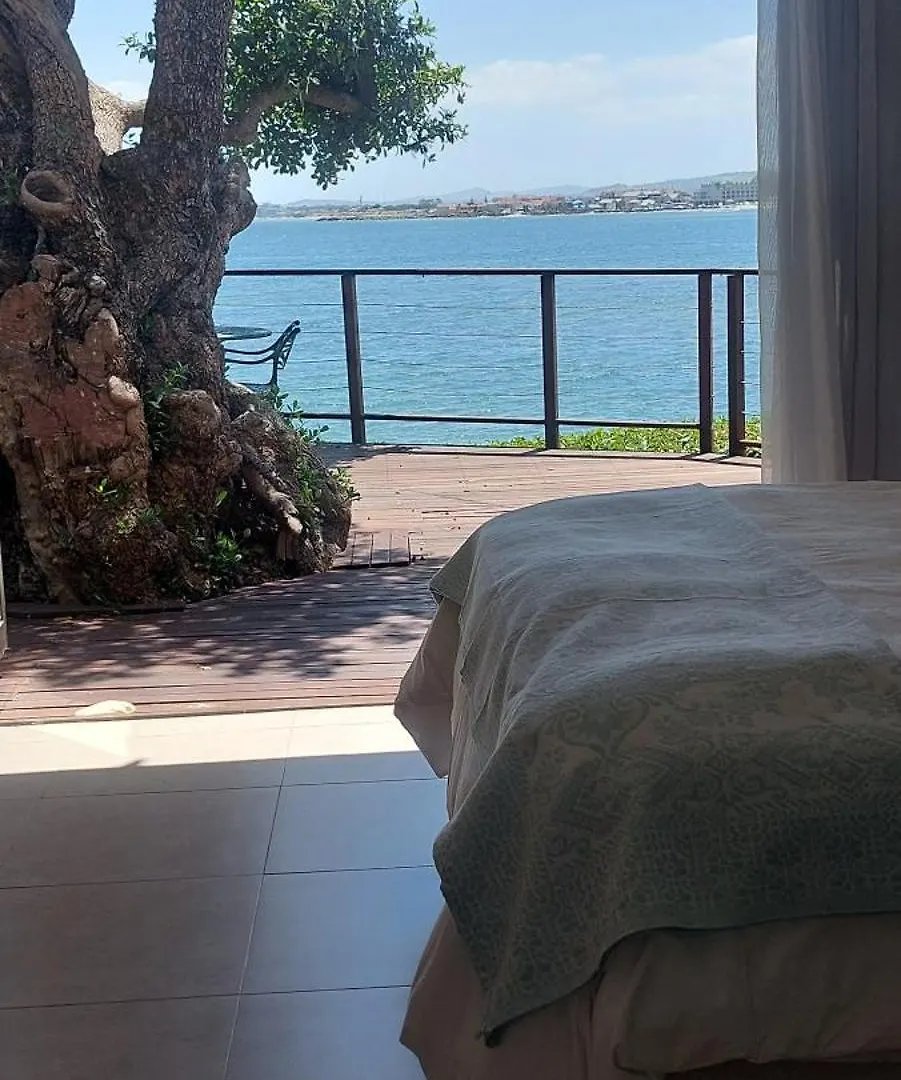 Driftwood Beach Villa Gordonʼs Bay
